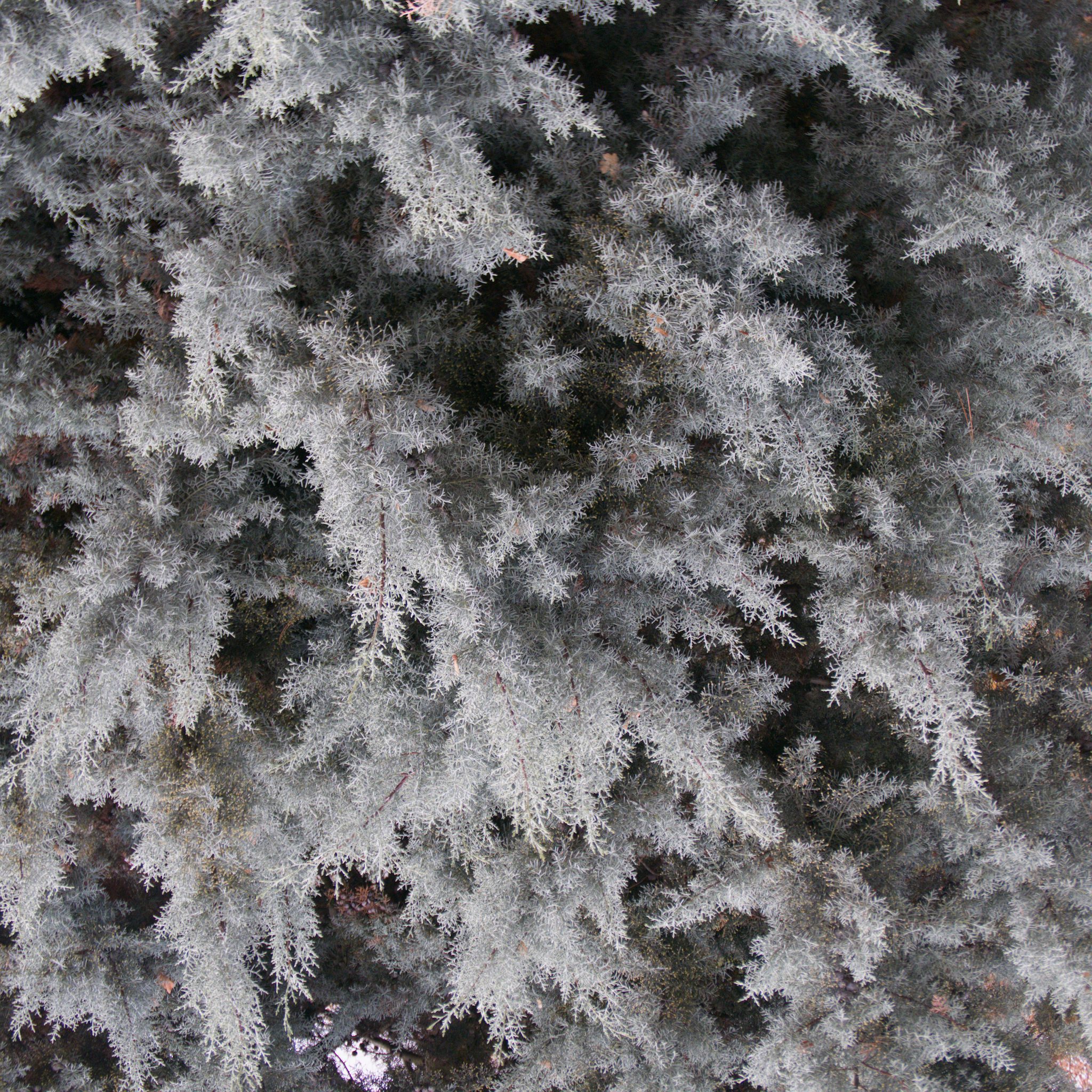 NO-80